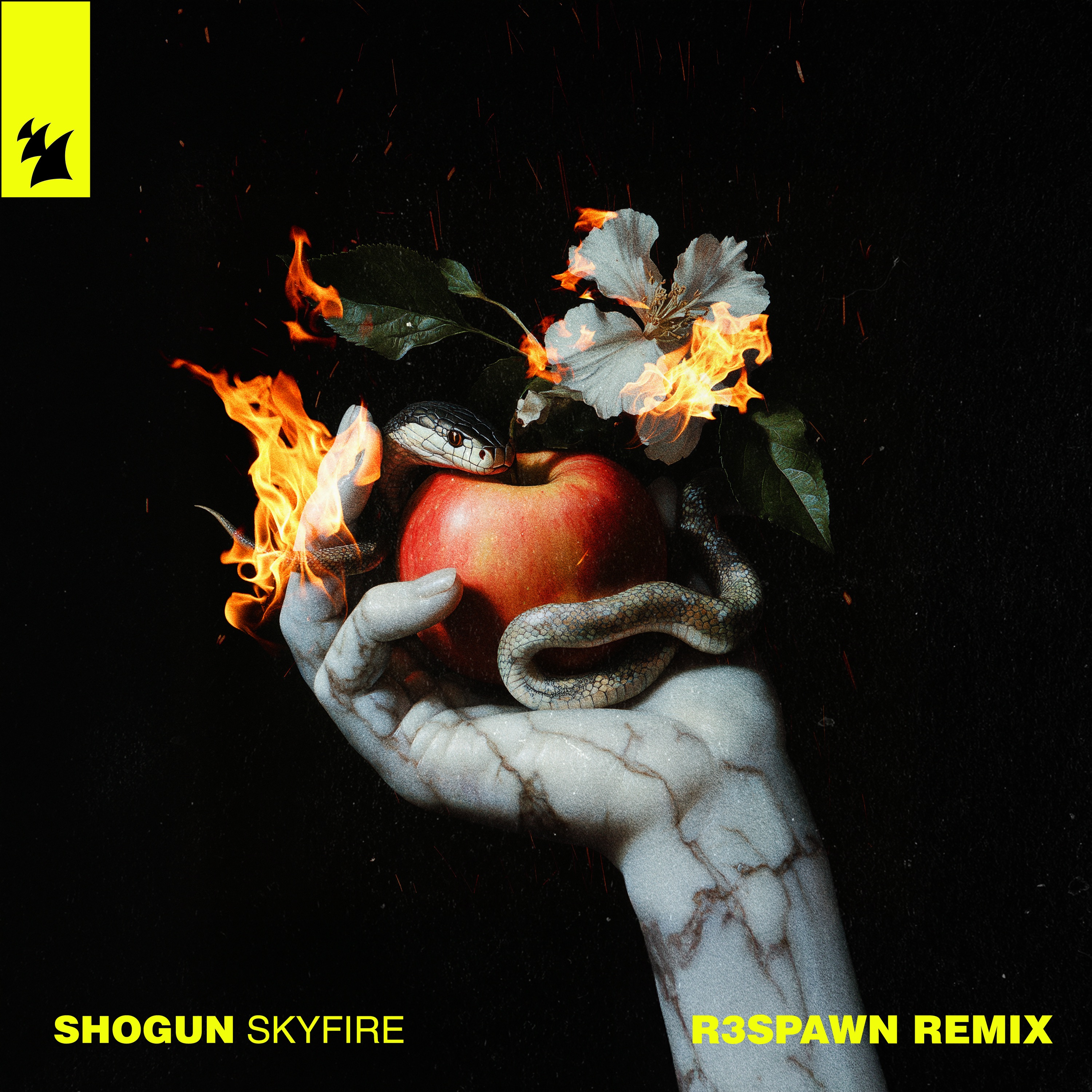 Skyfire (R3SPAWN Remix) - Single album cover