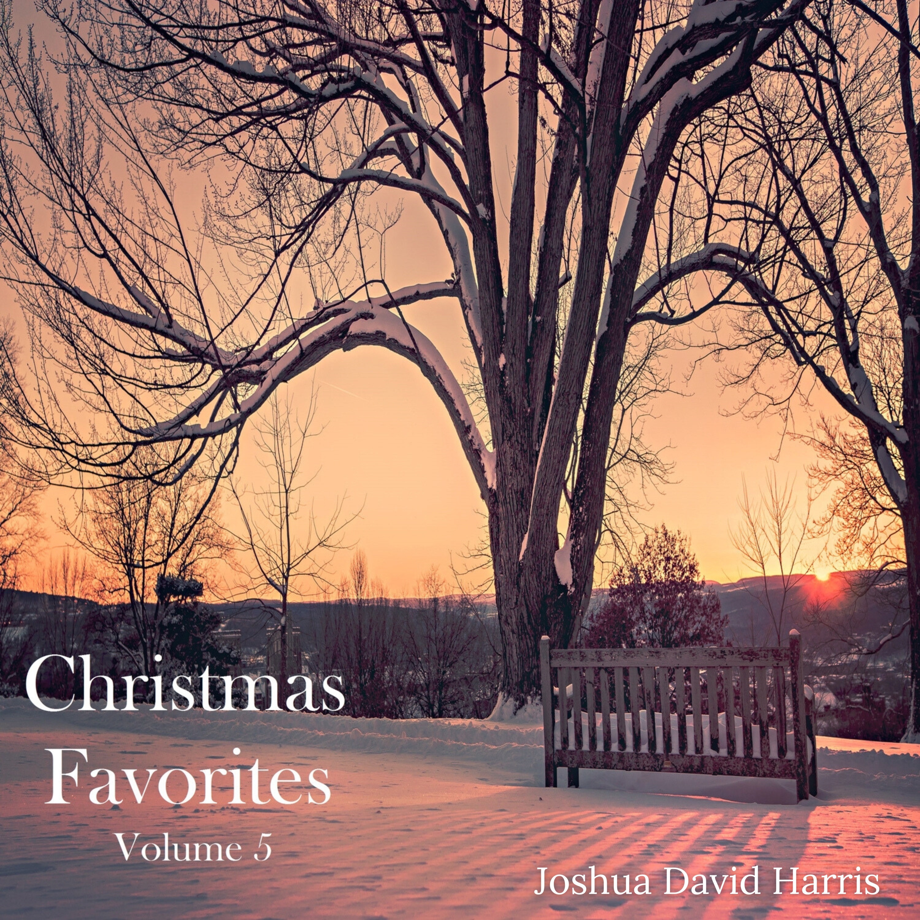 Christmas Favorites, Vol. 5 album cover