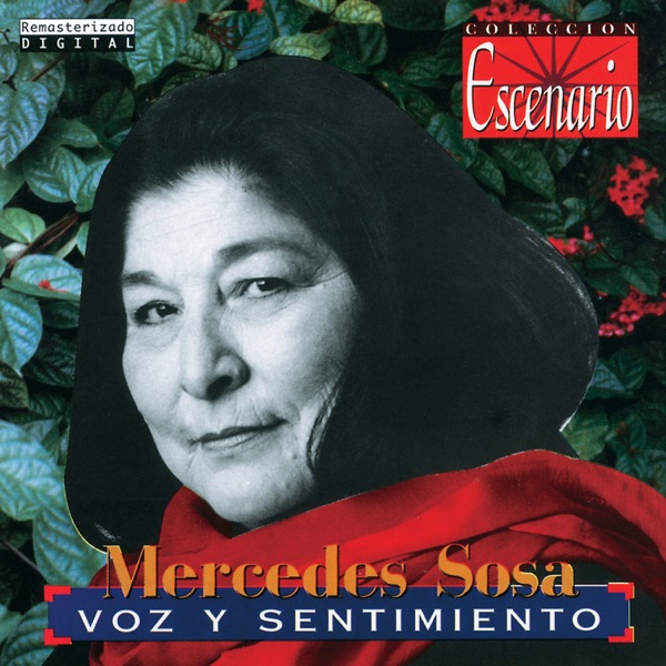 Voz Y Sentimiento album cover