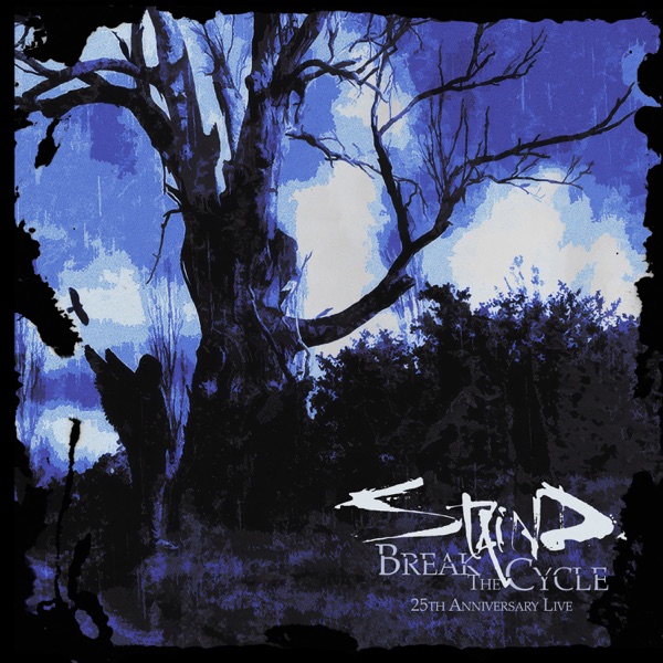 Break The Cycle (25th Anniversary Live) album cover