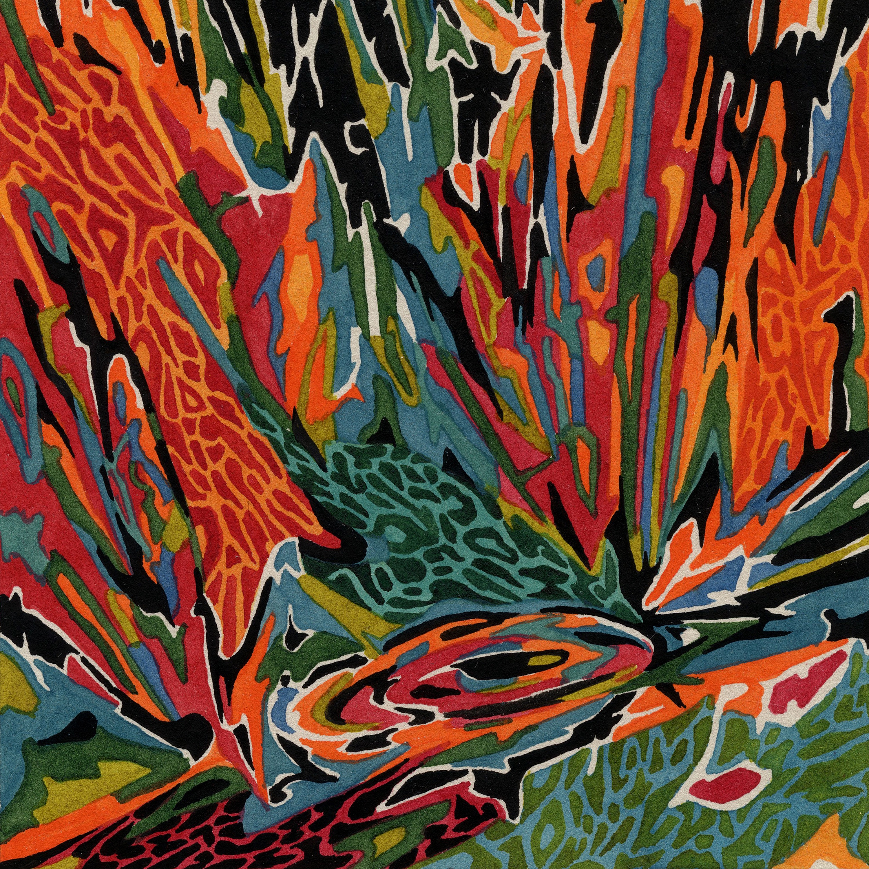 Terra Incognita album cover