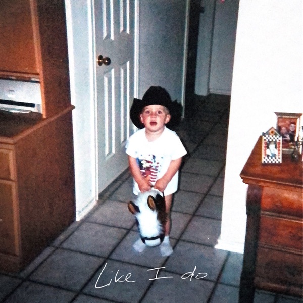 Like I Do - Single album cover