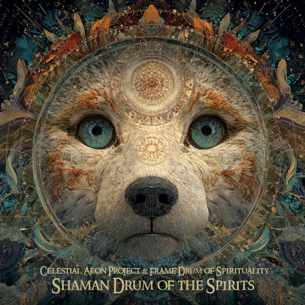 Shaman Drum of the Spirits - Single album cover