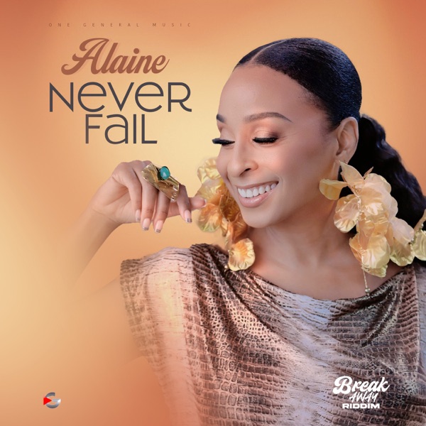 Never Fail - Single album cover