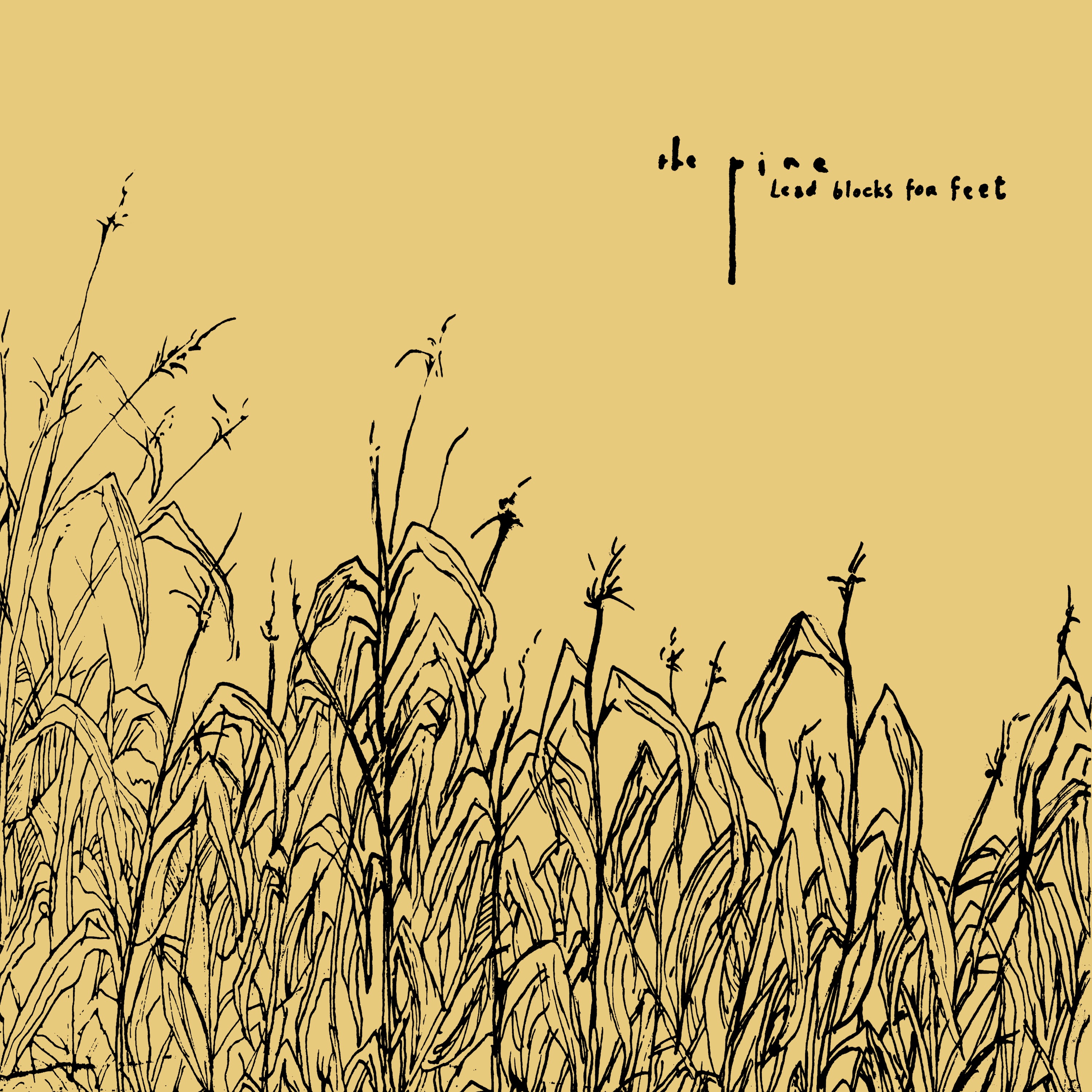 Lead Blocks for Feet album cover