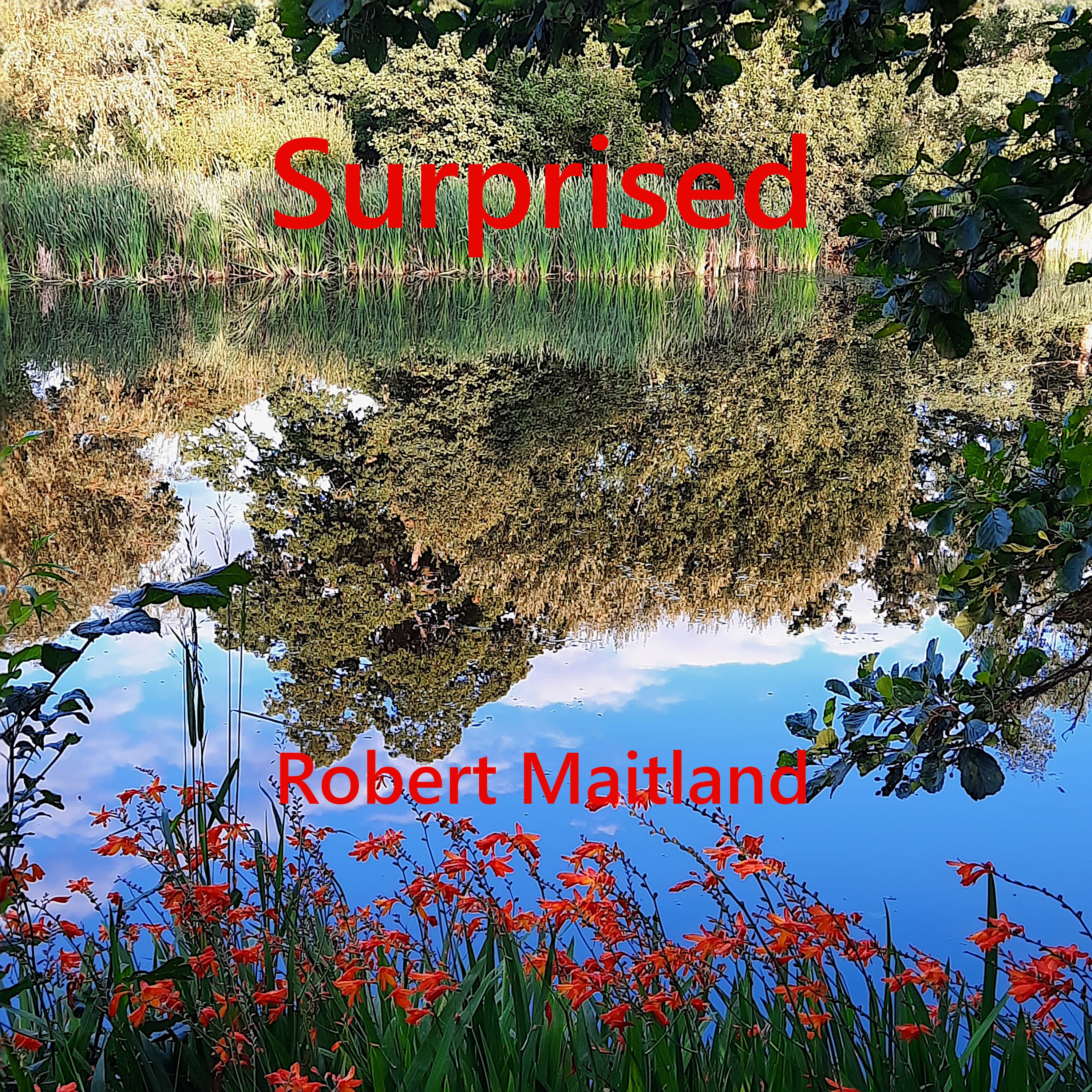 Surprised (Acoustic) - Single album cover