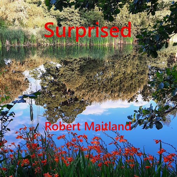 Surprised (Acoustic) - Single album cover