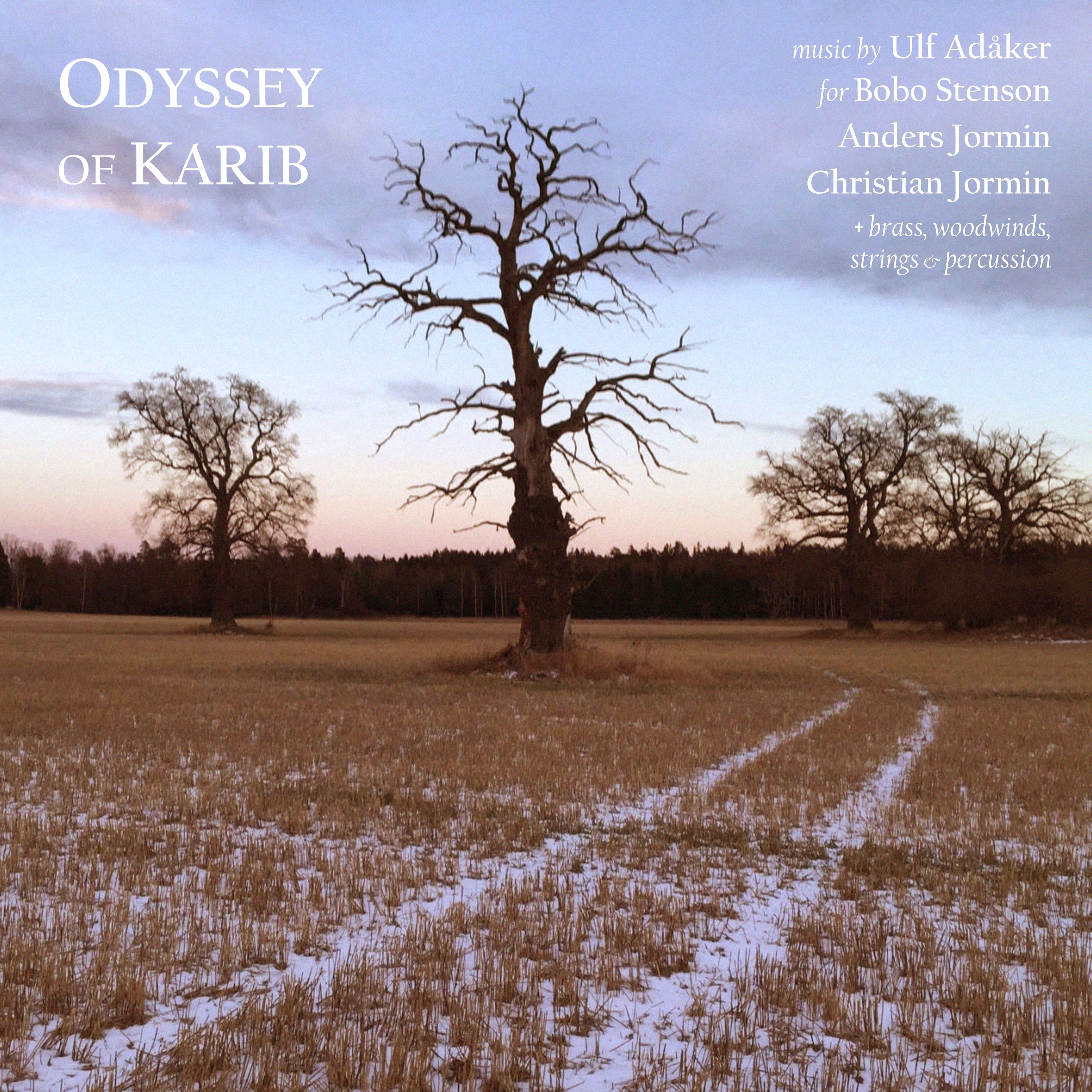 Odyssey of Karib (feat. Ulf Adåker) album cover
