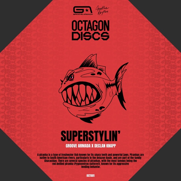 Superstylin' - Single album cover