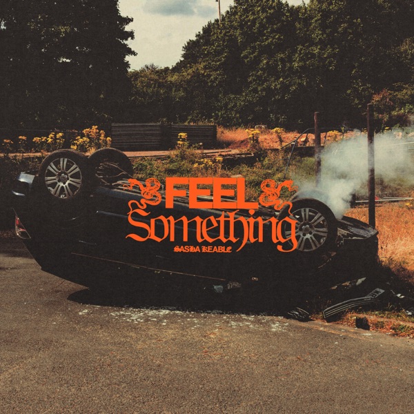 FEEL SOMETHING - Single album cover