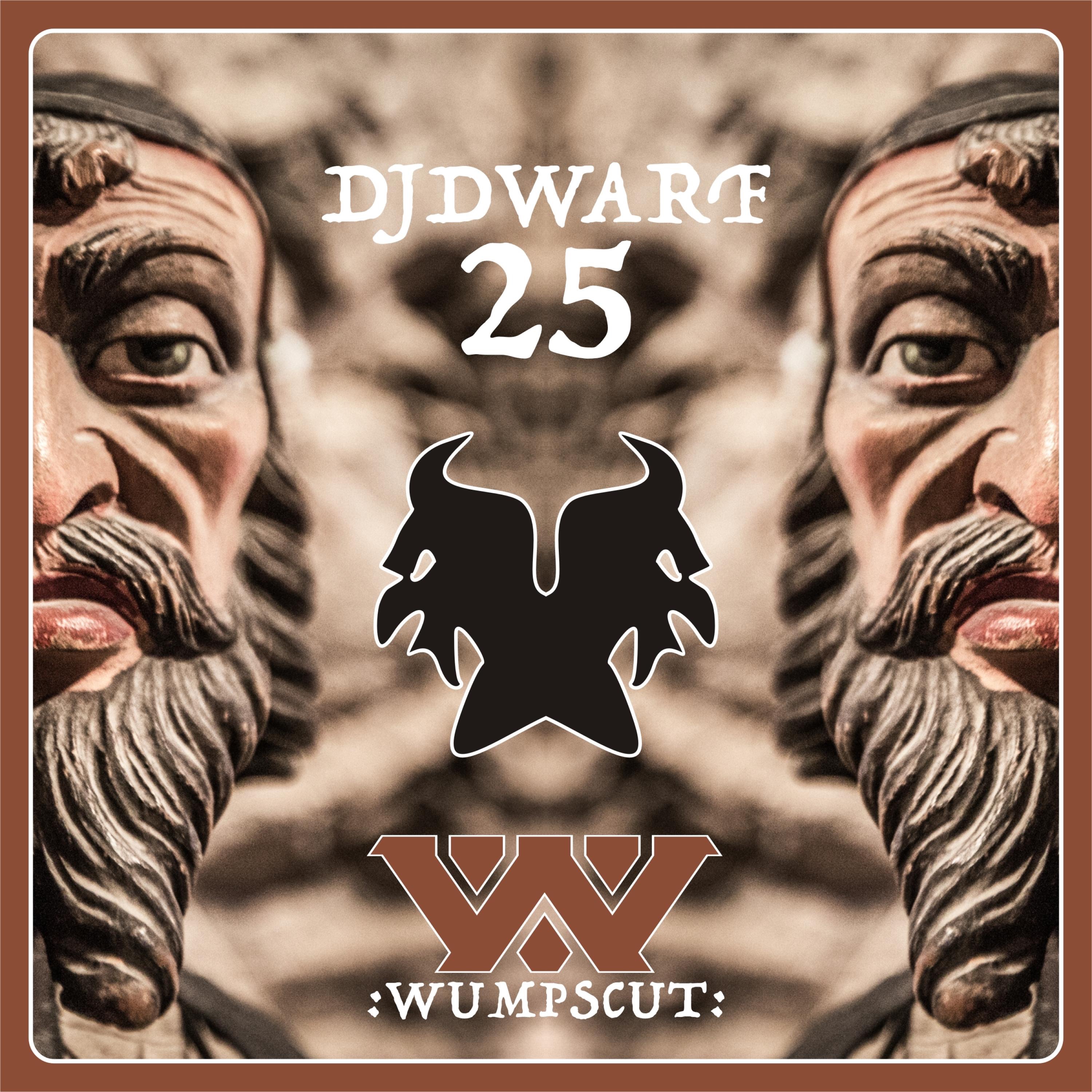 DJ Dwarf 25 album cover