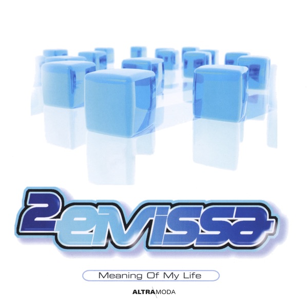 Meaning of My Life - EP album cover