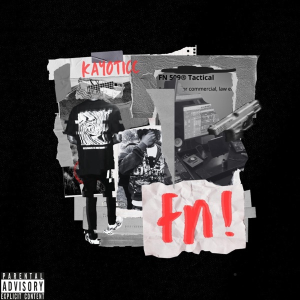 fn! (feat. mook) - Single album cover