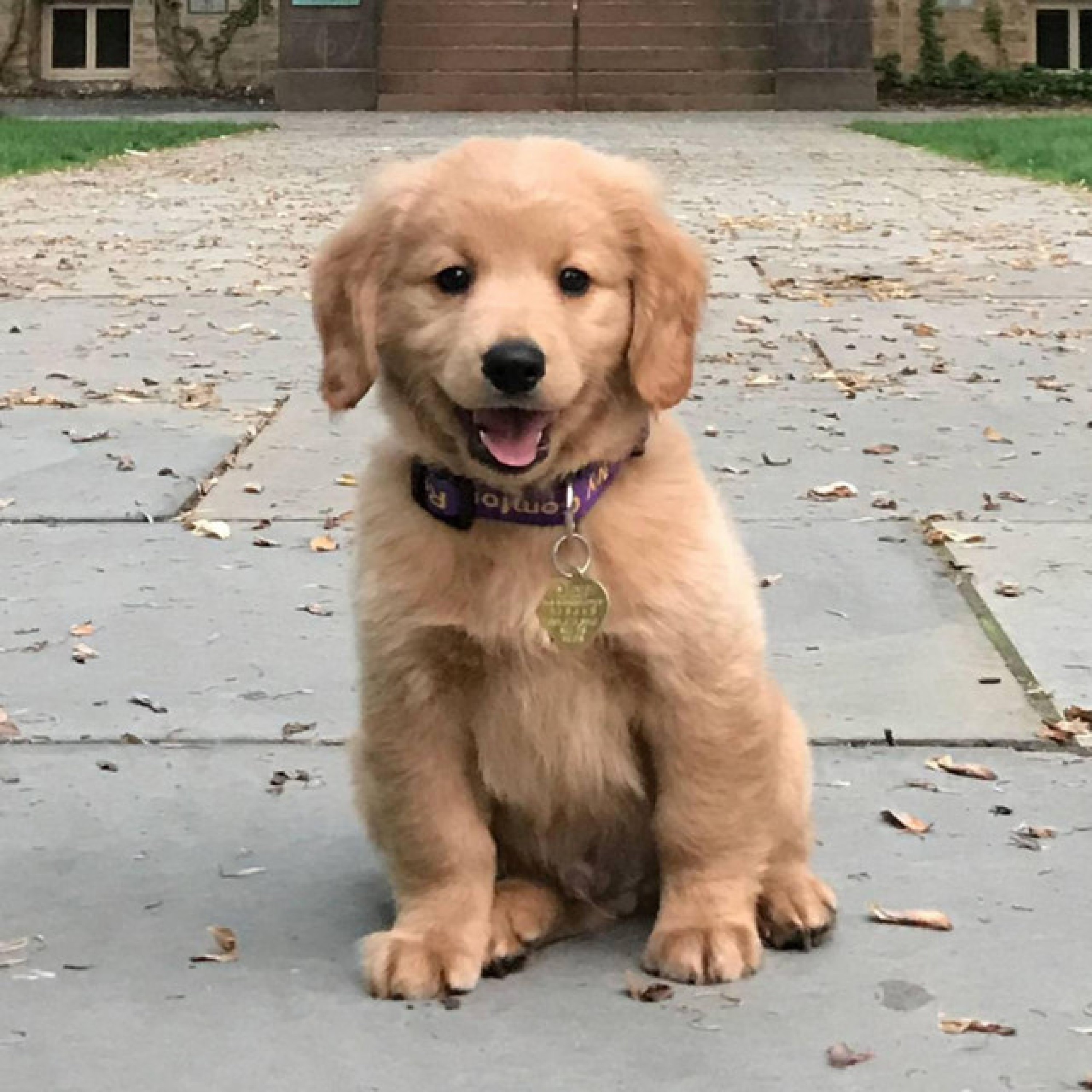 Decisions - Single album cover