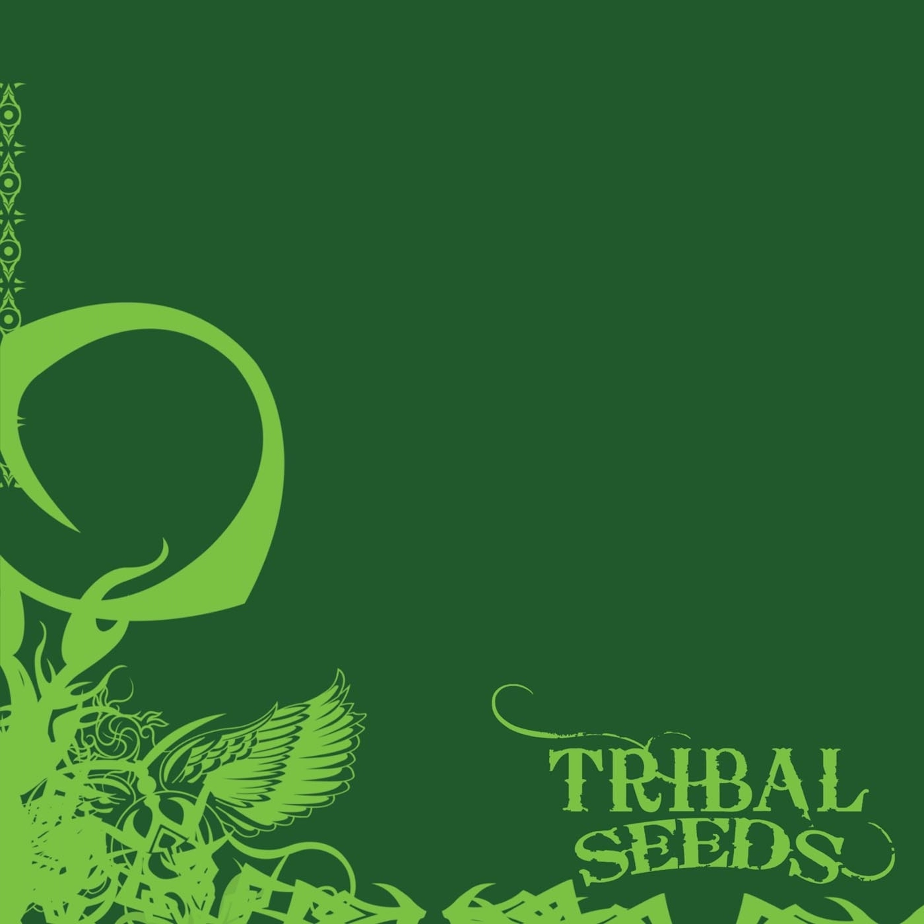 Tribal Seeds album cover