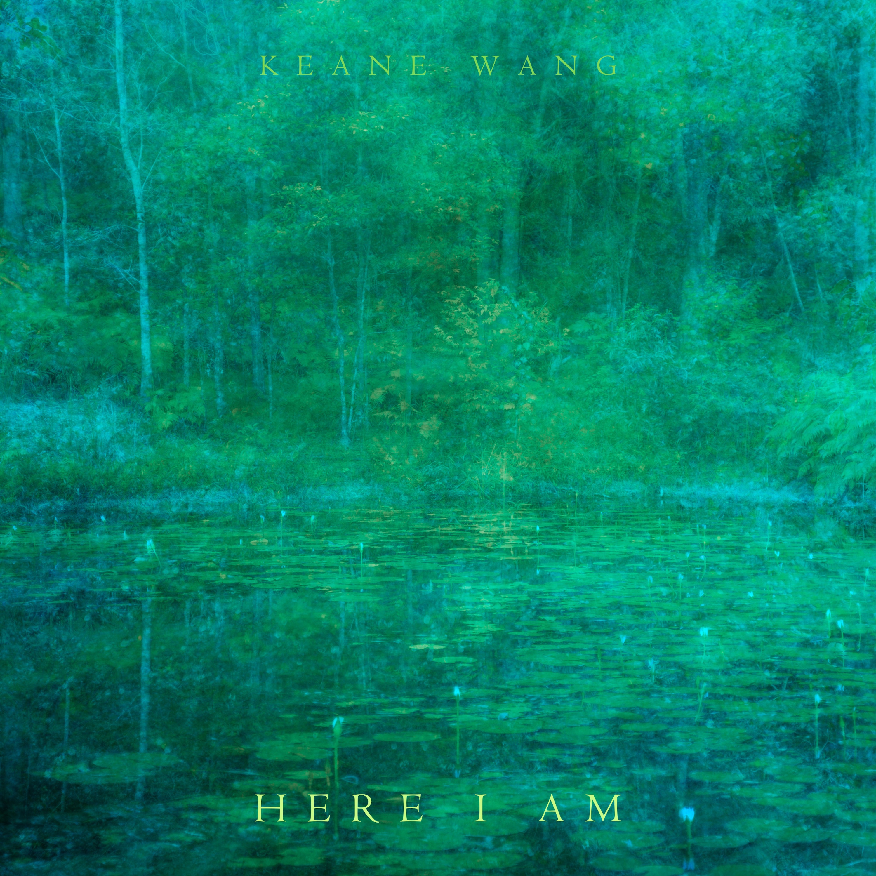 Here I Am album cover