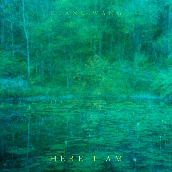 Here I Am album cover