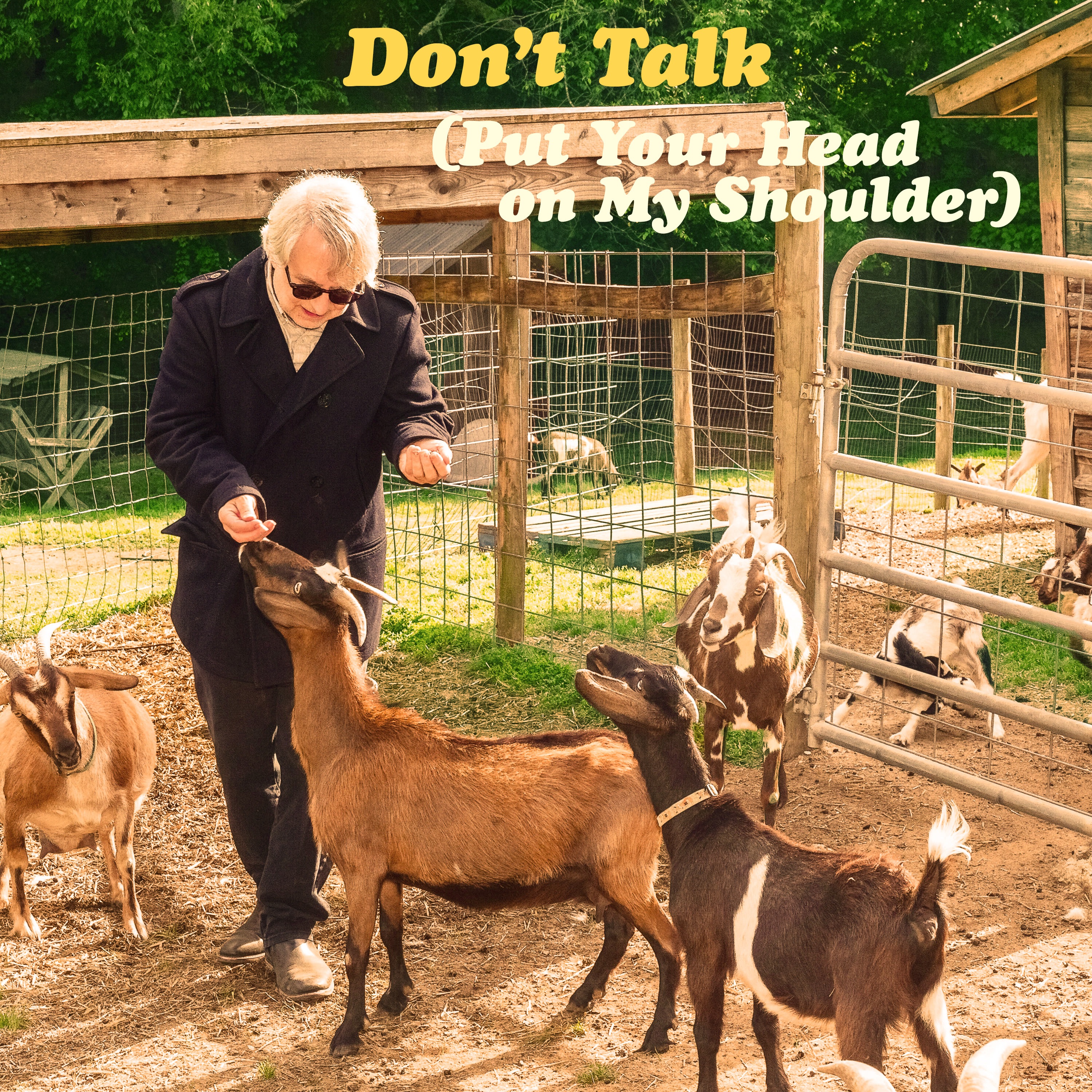 Don't Talk (Put Your Head on My Shoulder) (feat. The Lemon Twigs) - Single album cover