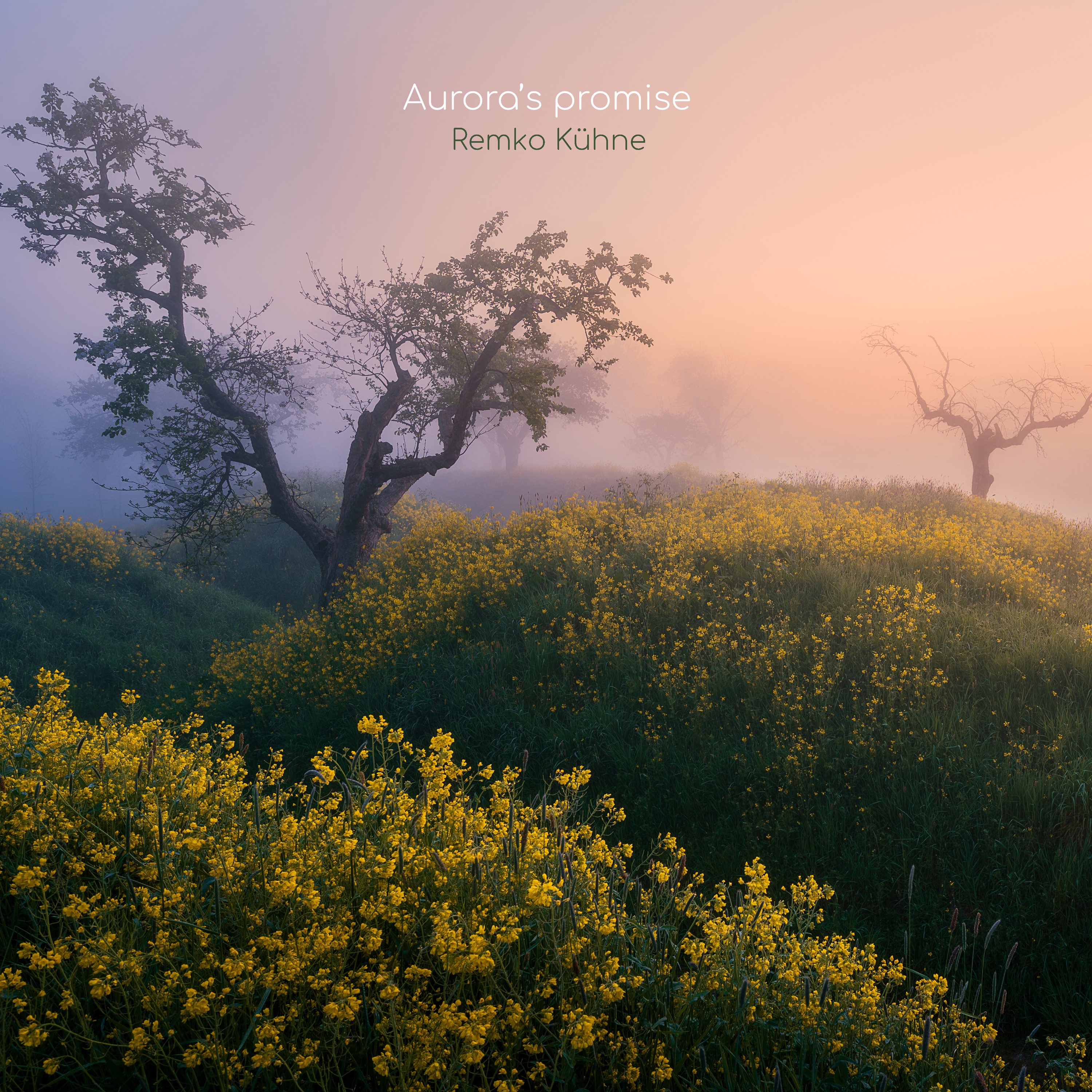 Aurora's promise album cover