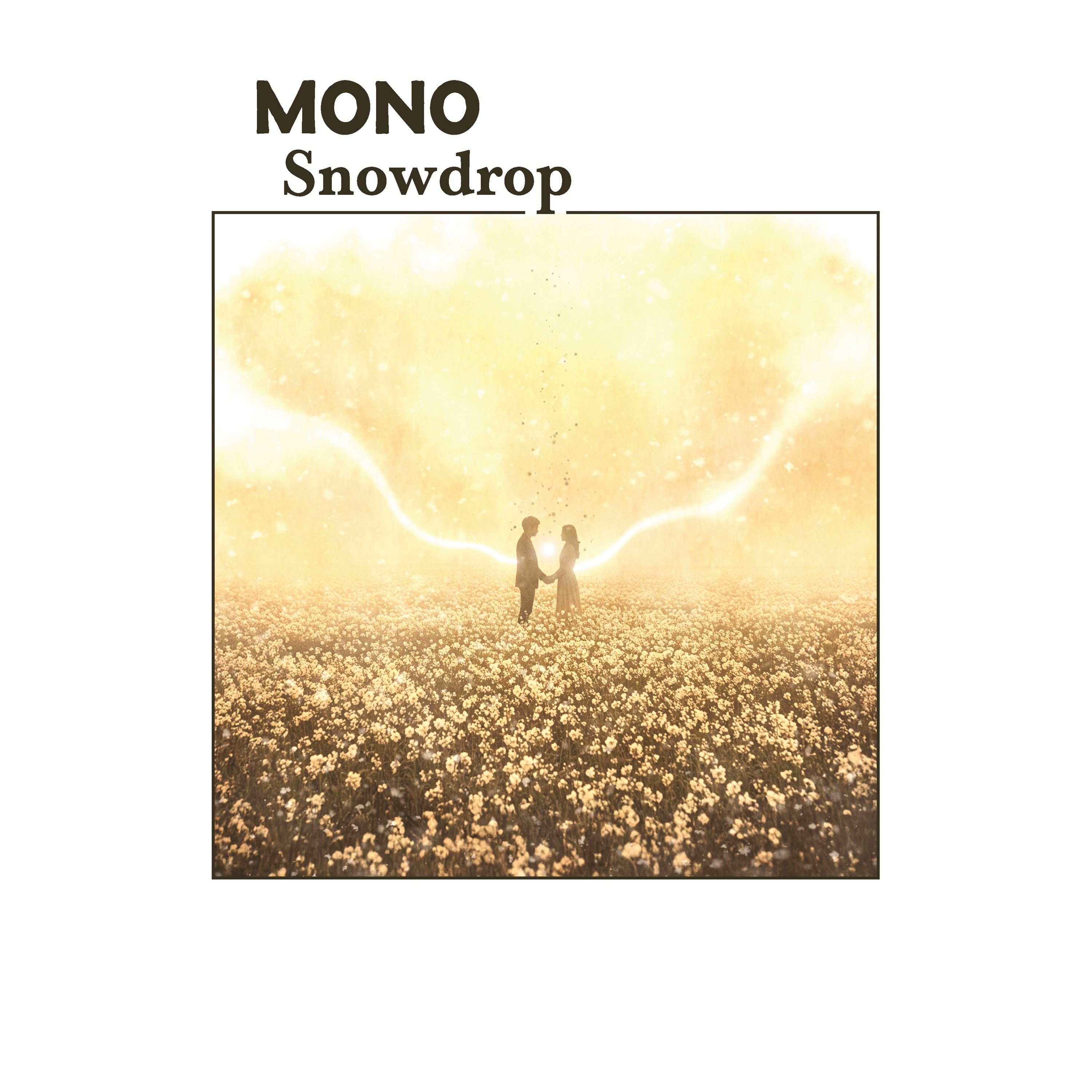 Snowdrop album cover