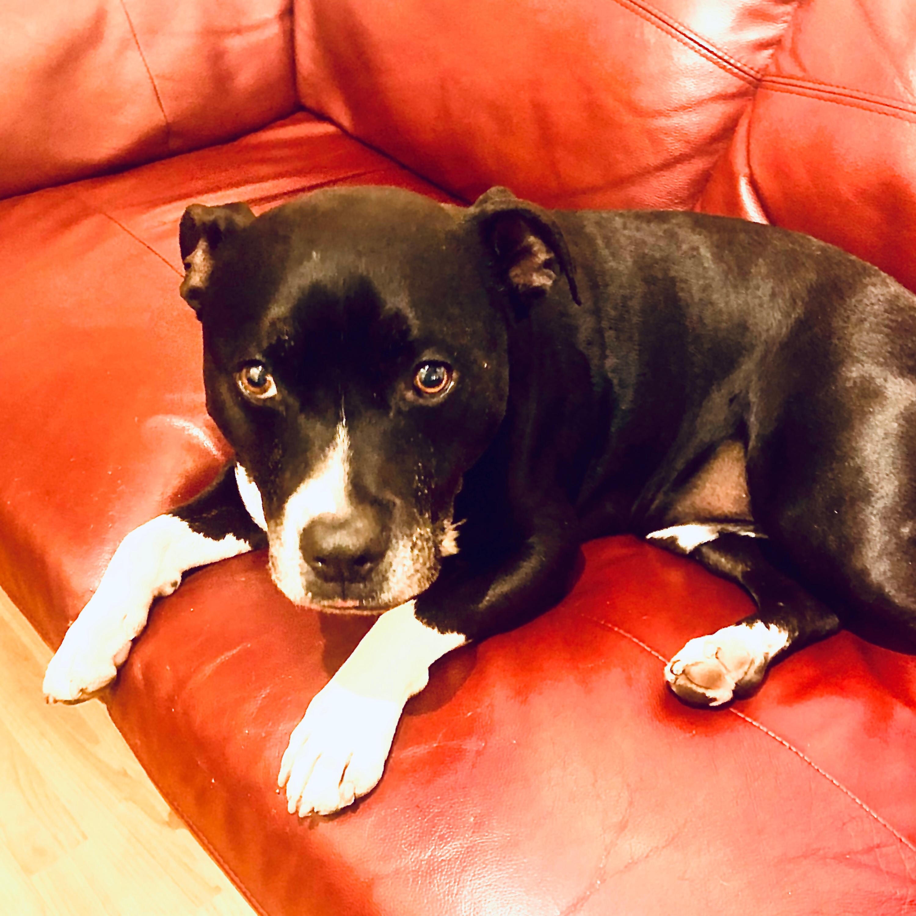 Tyson (Dub) - Single album cover