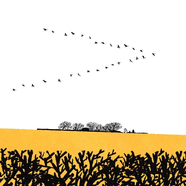 Quiet Miles album cover