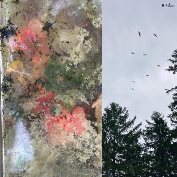 Name in my Head - EP album cover