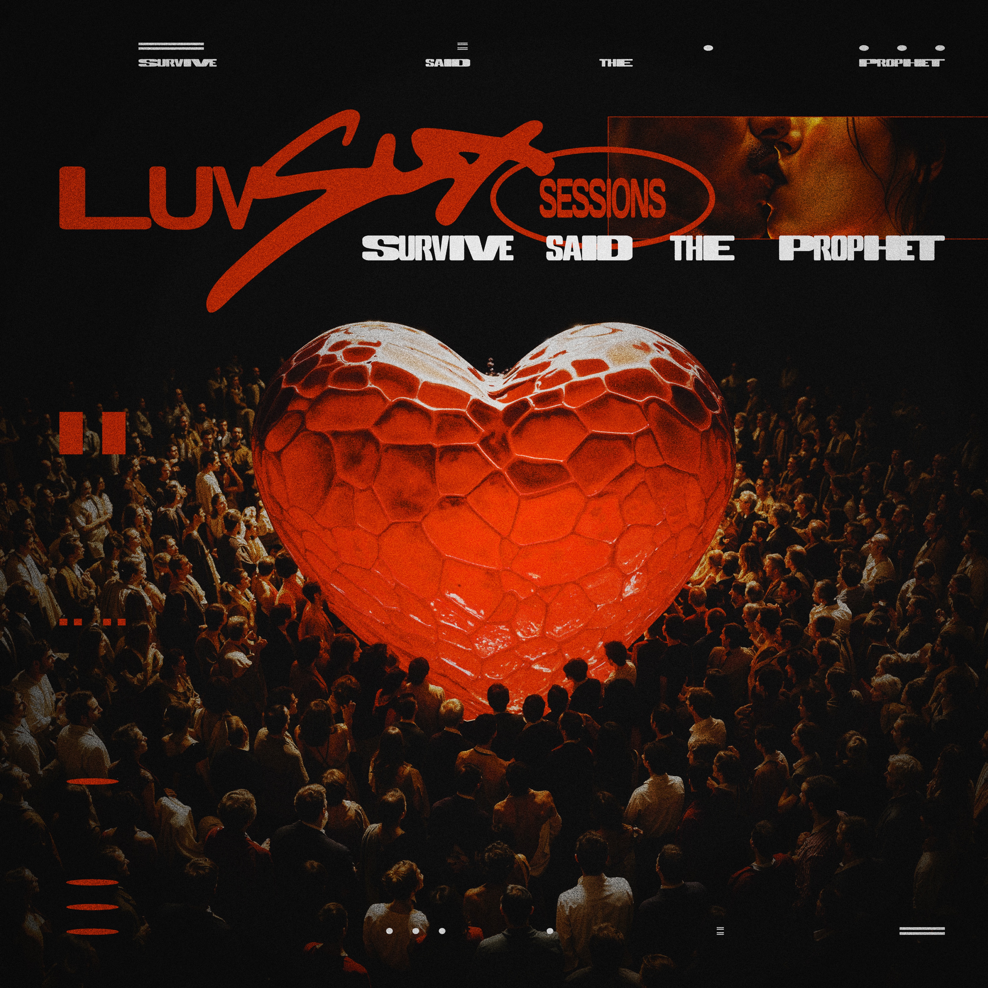 Luv Sux Sessions album cover