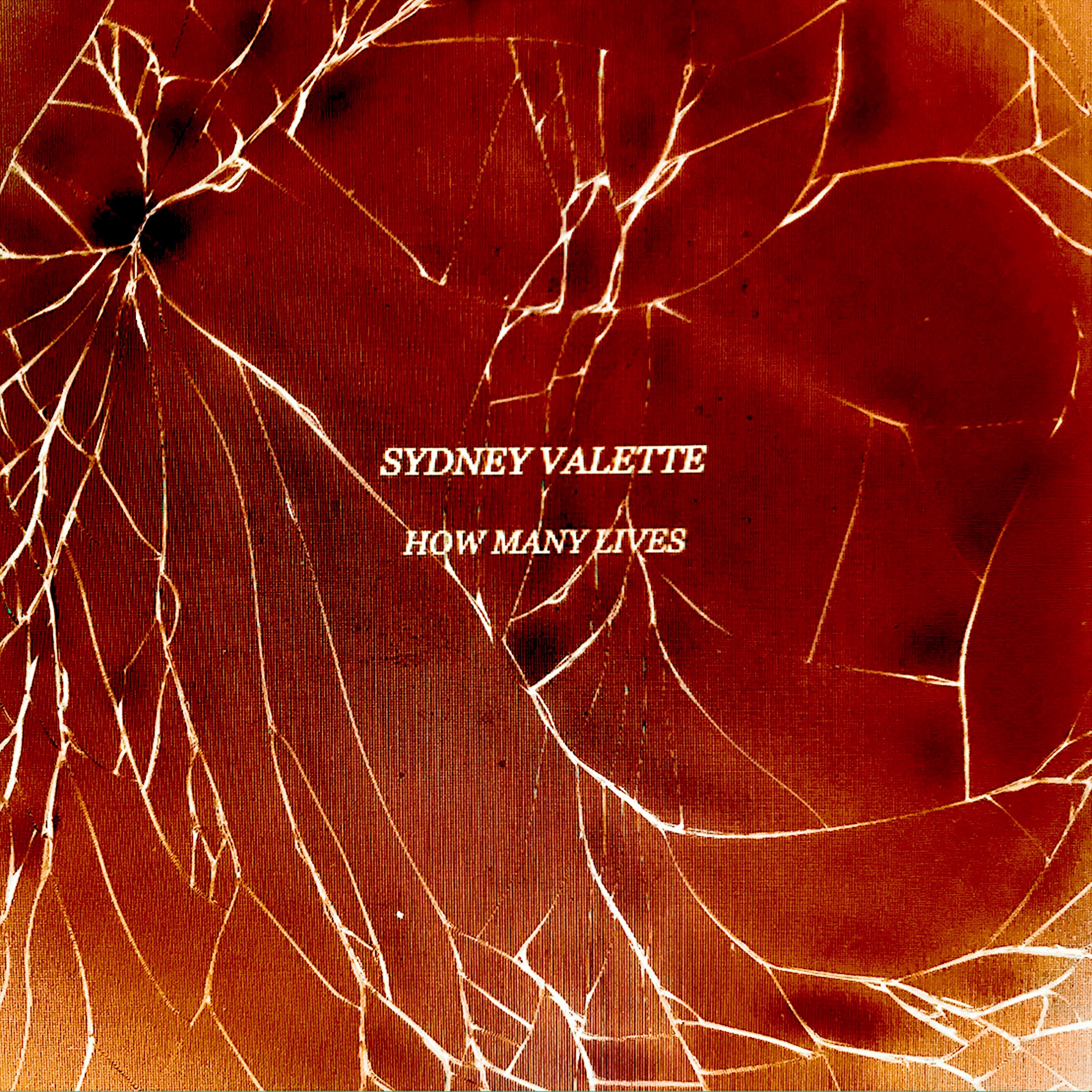 How Many Lives (The Remixes) album cover