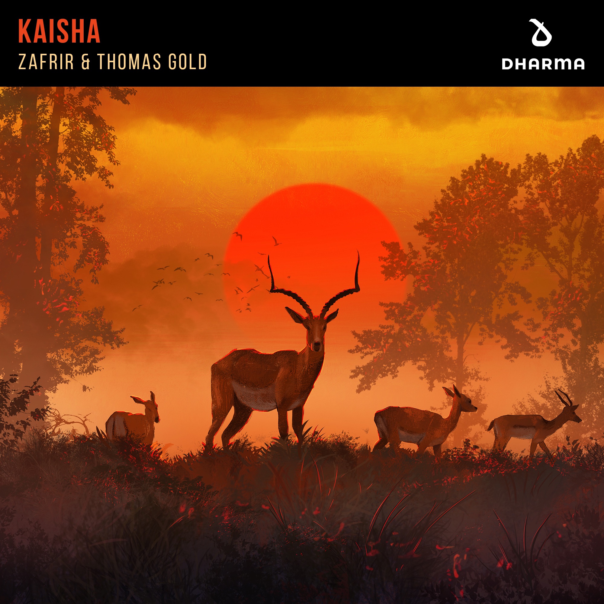 Kaisha (Extended Mix) - Single album cover