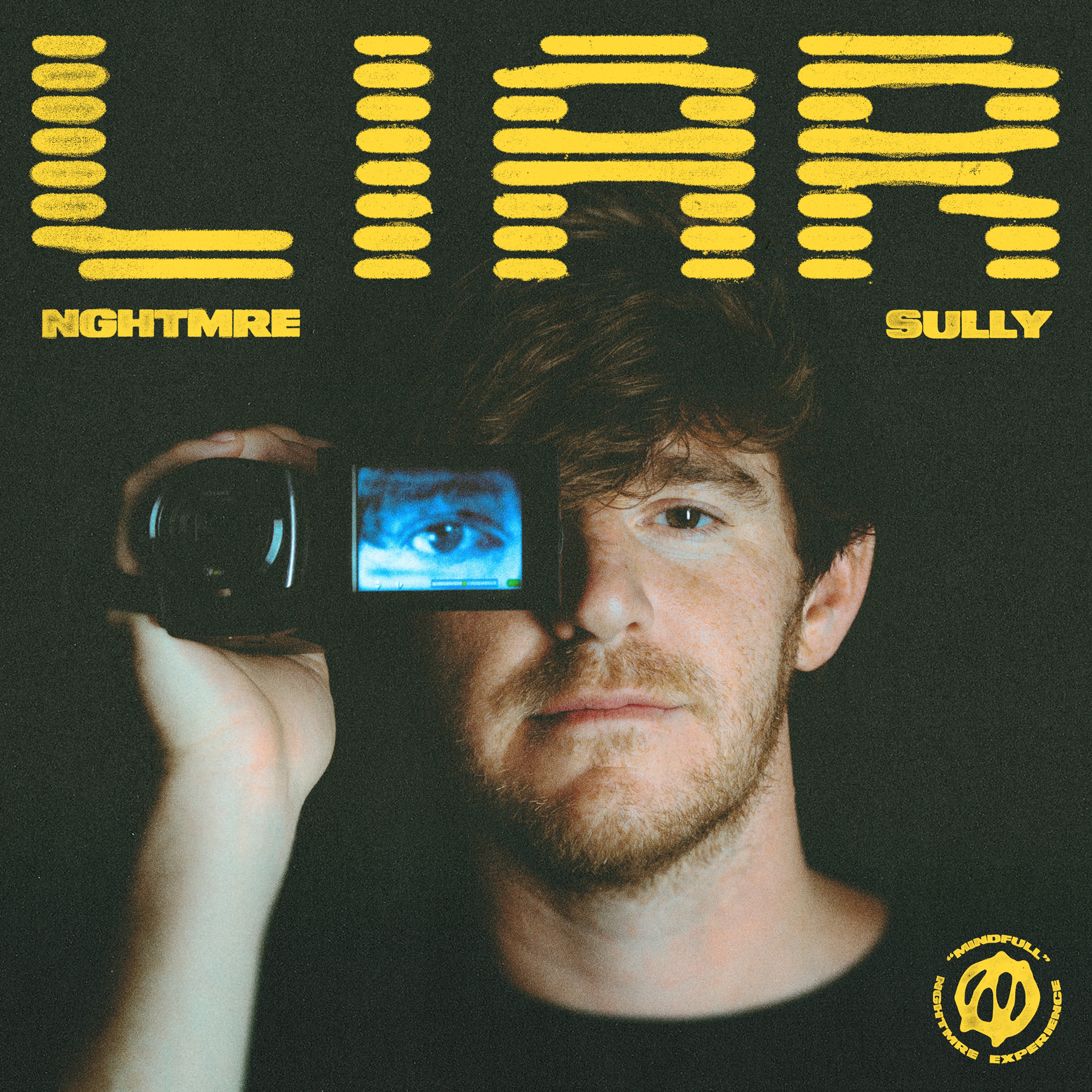 Liar - Single album cover
