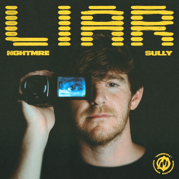 Liar - Single album cover