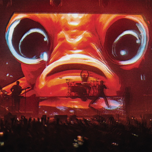 Live at Wembley album cover