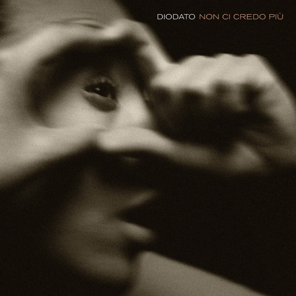 Non ci credo più - Single album cover