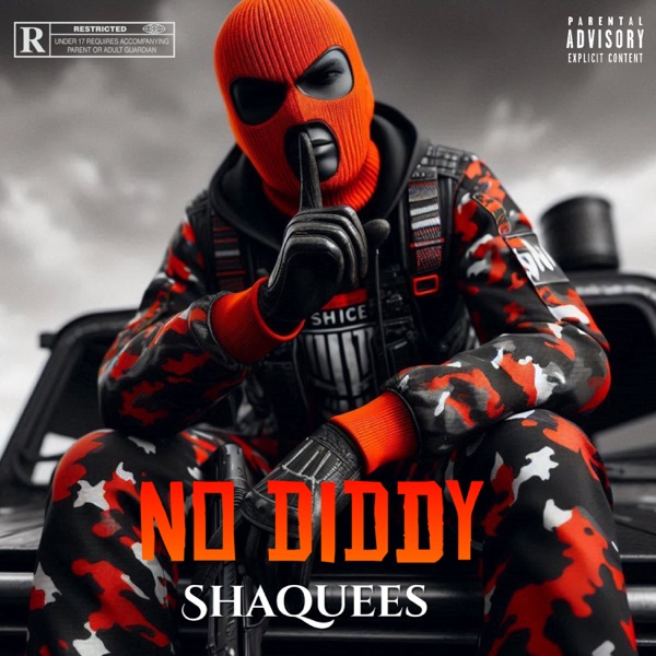 No Diddy (feat. Ynvg) - Single album cover