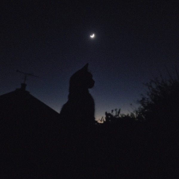 the night we met - Single album cover
