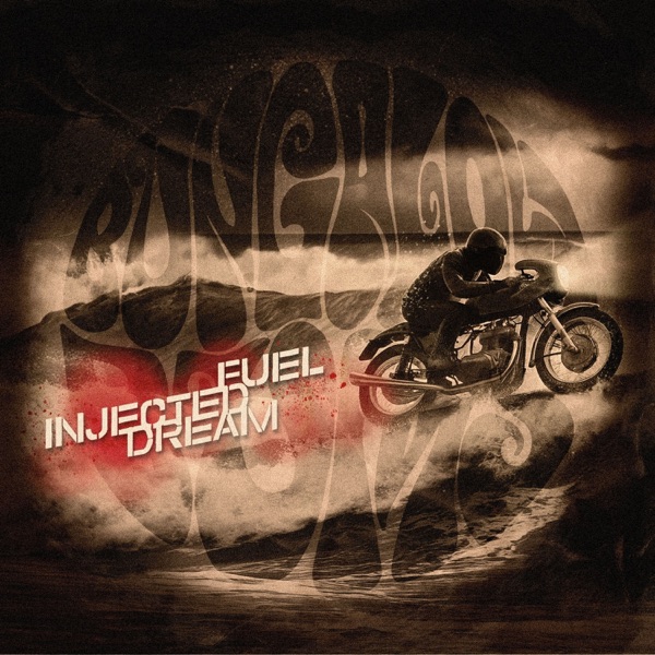 Fuel Injected Dream album cover