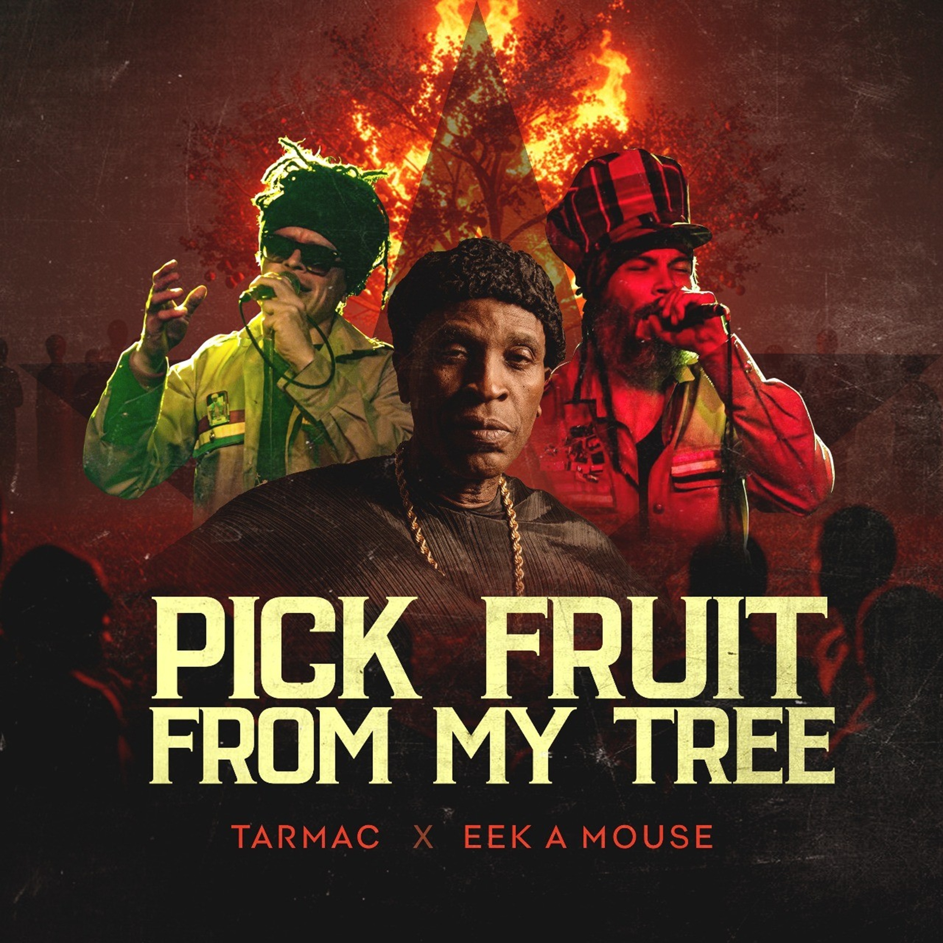 Pick Fruit From My Tree - Single album cover