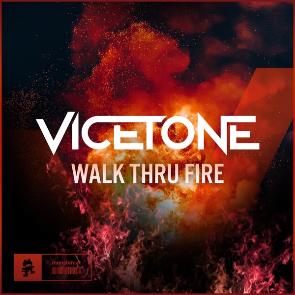 Walk Thru Fire - Single album cover
