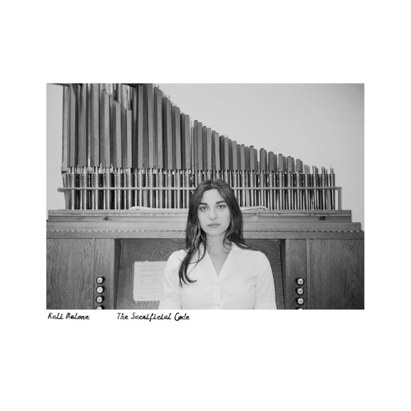 The Sacrificial Code album cover