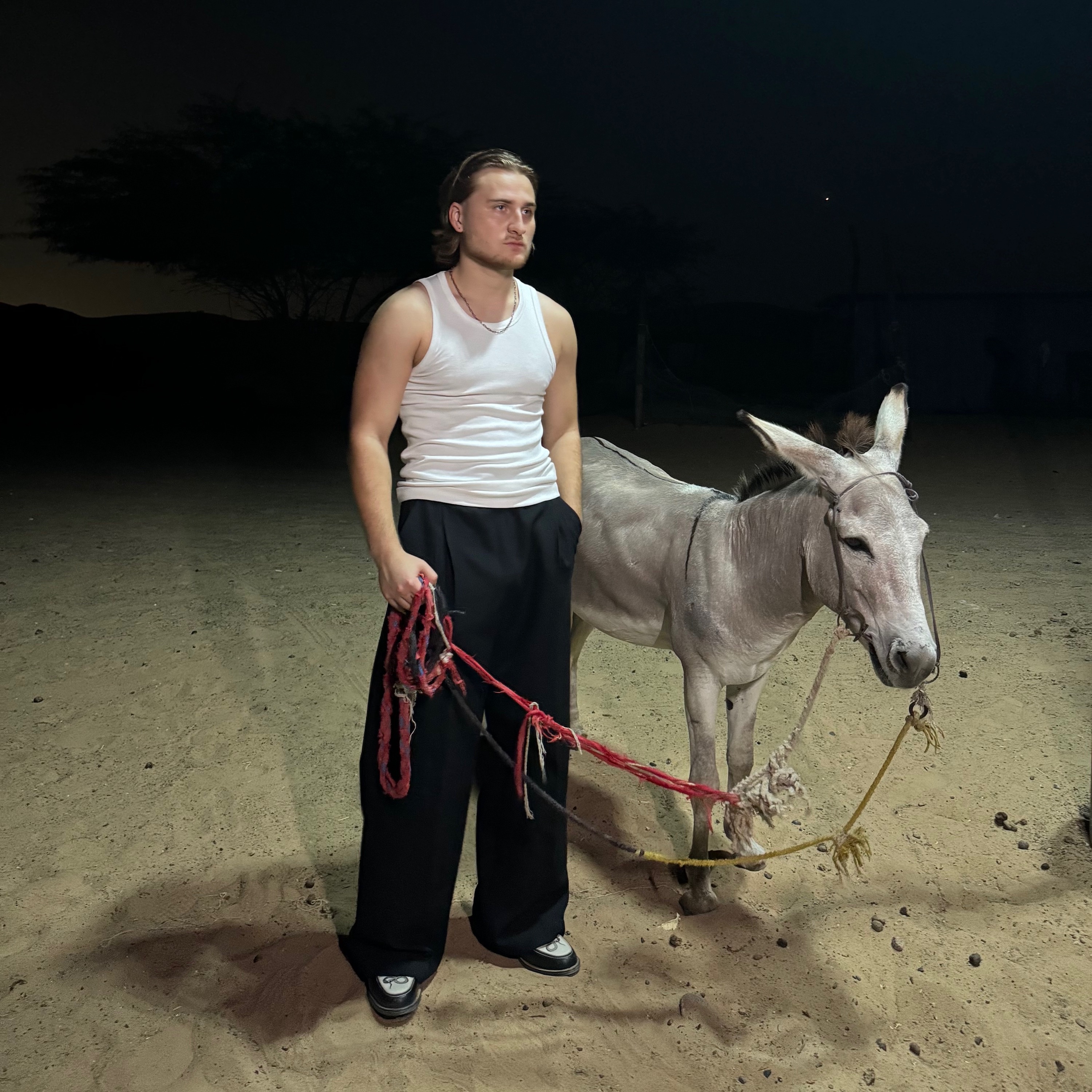 Layla - Single album cover