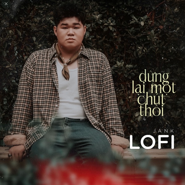 Dừng Lại Một Chút Thôi (Ani Lofi - Star Online) - Single album cover