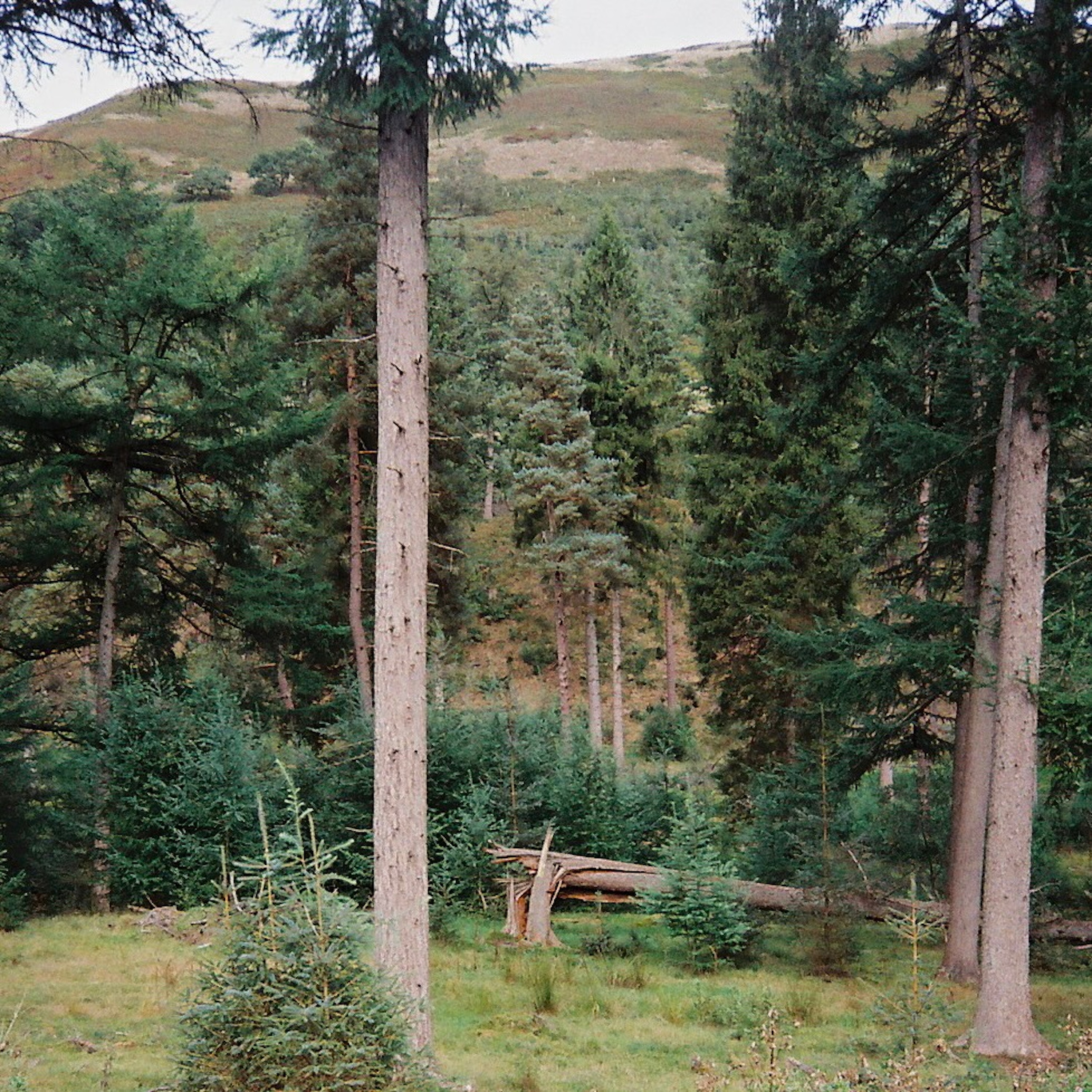 Until The Comet Came - EP album cover