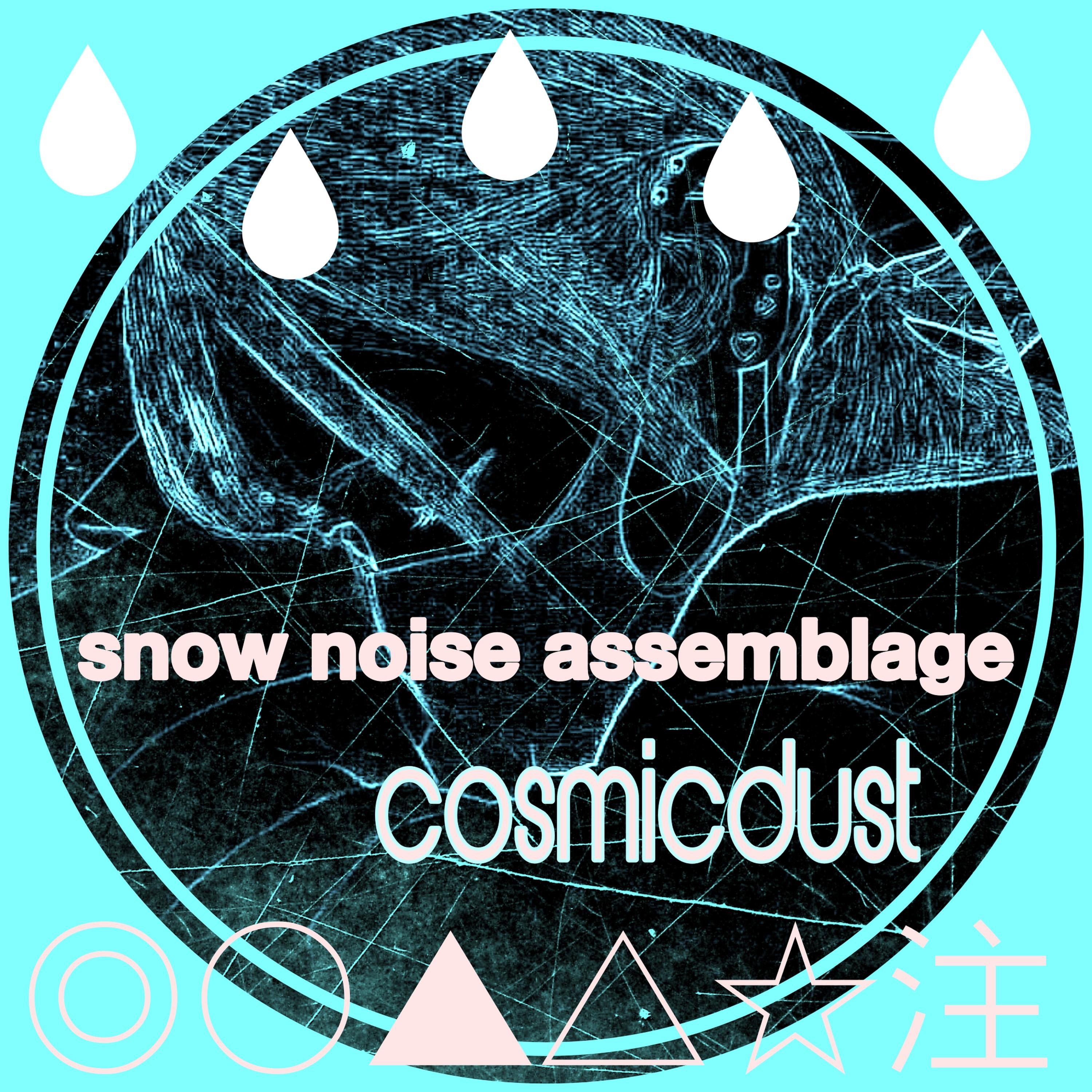 snow noise assemblage album cover
