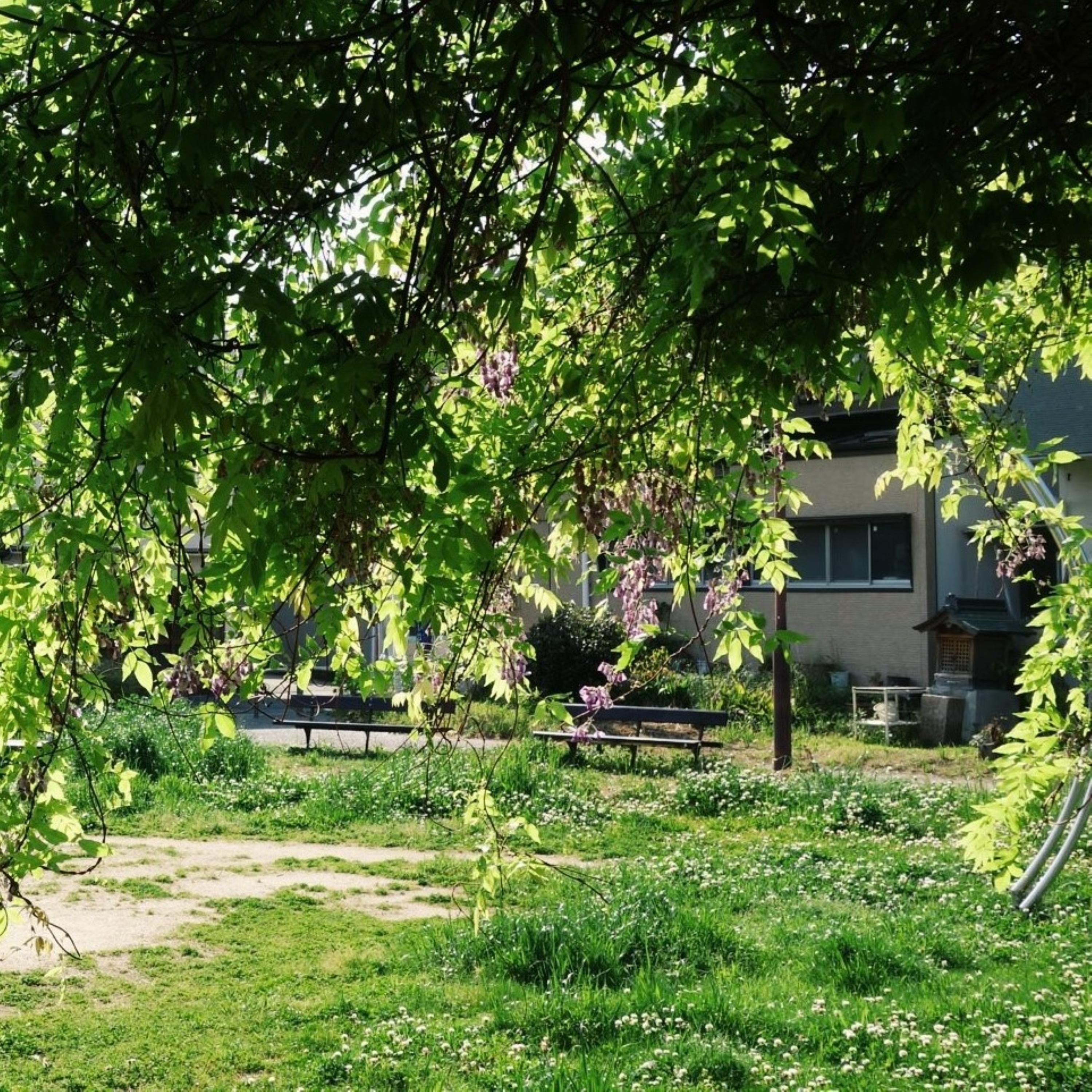 Sozenji / Itayado - Single album cover