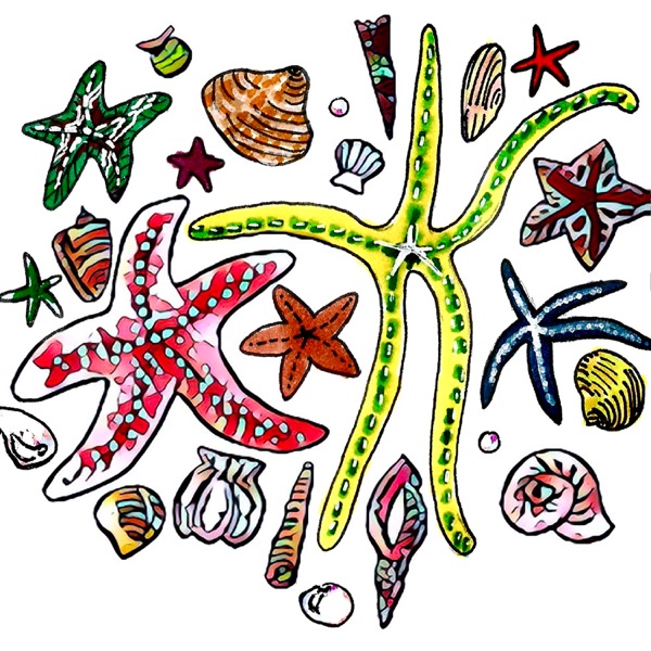 ella brilla - Single album cover