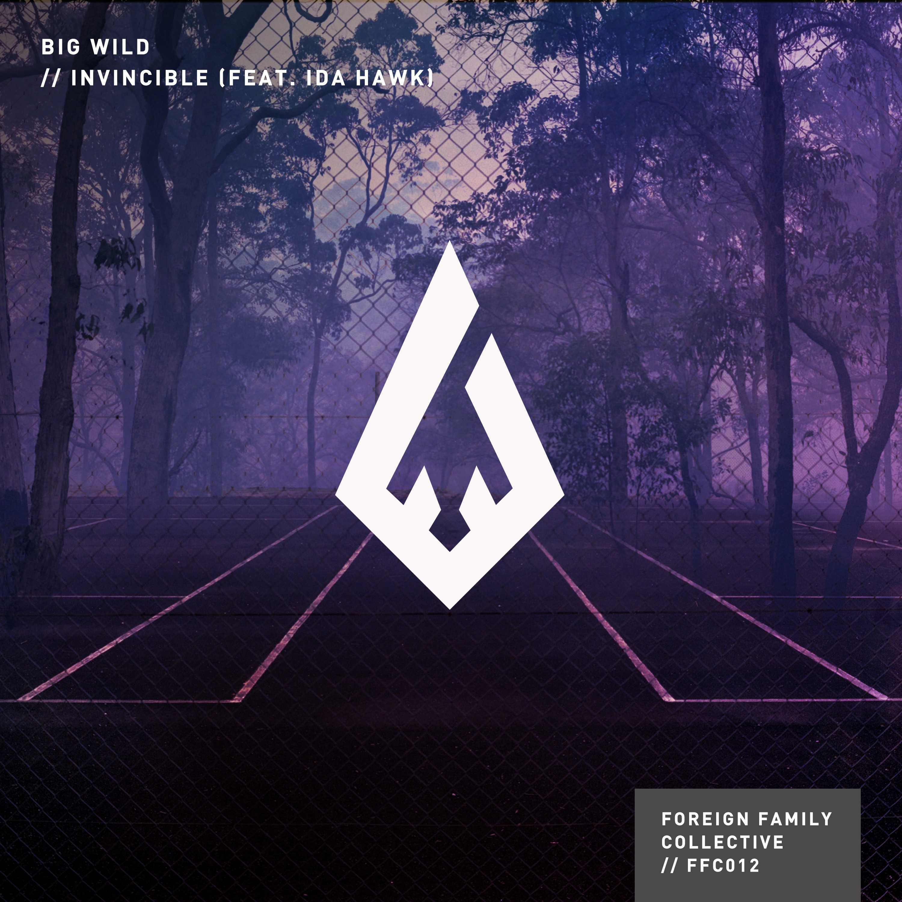 Invincible Remixes (feat. iDA HAWK) - EP album cover