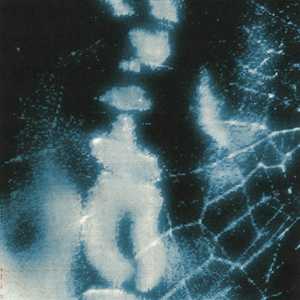 SKIN - Single album cover