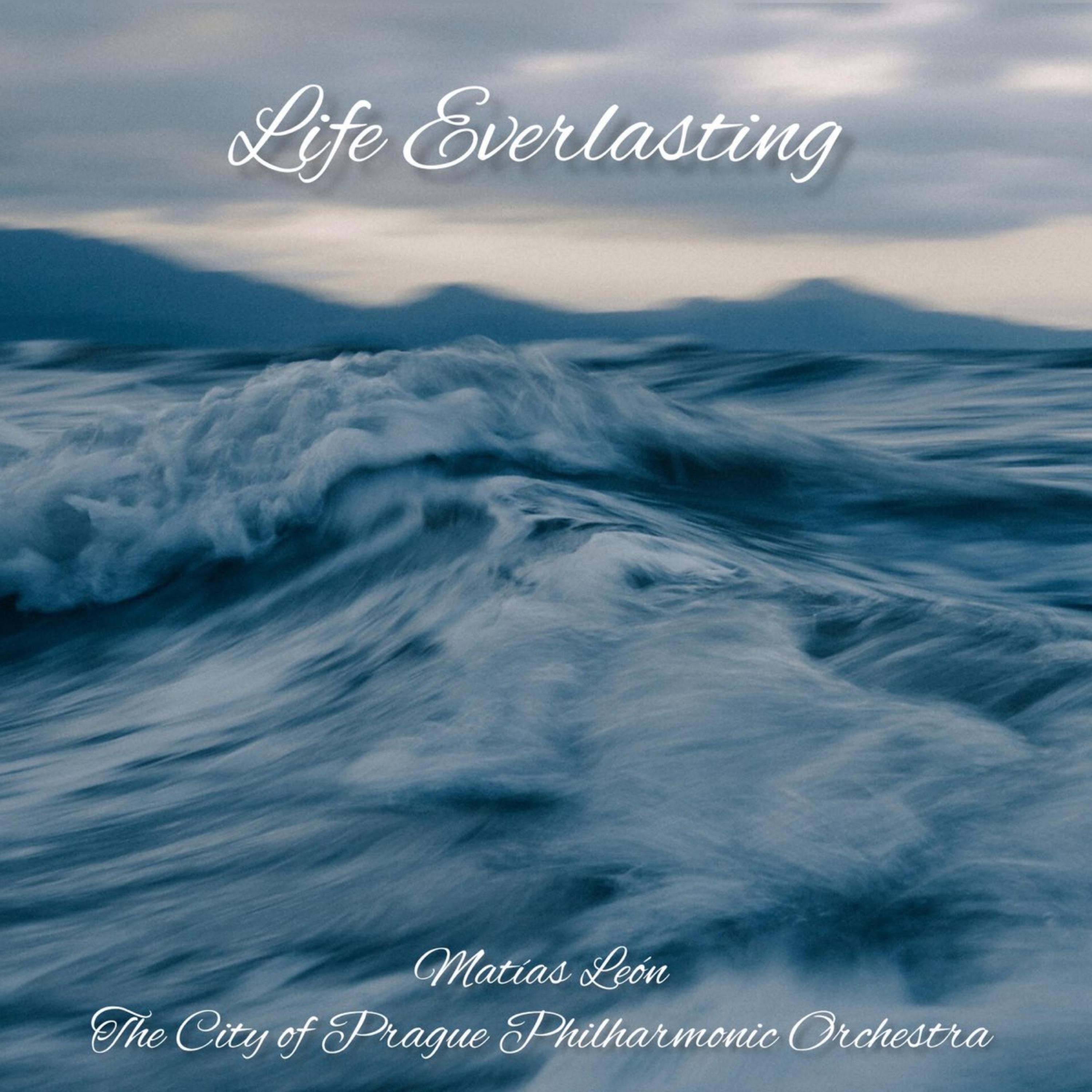 Life Everlasting - Single album cover