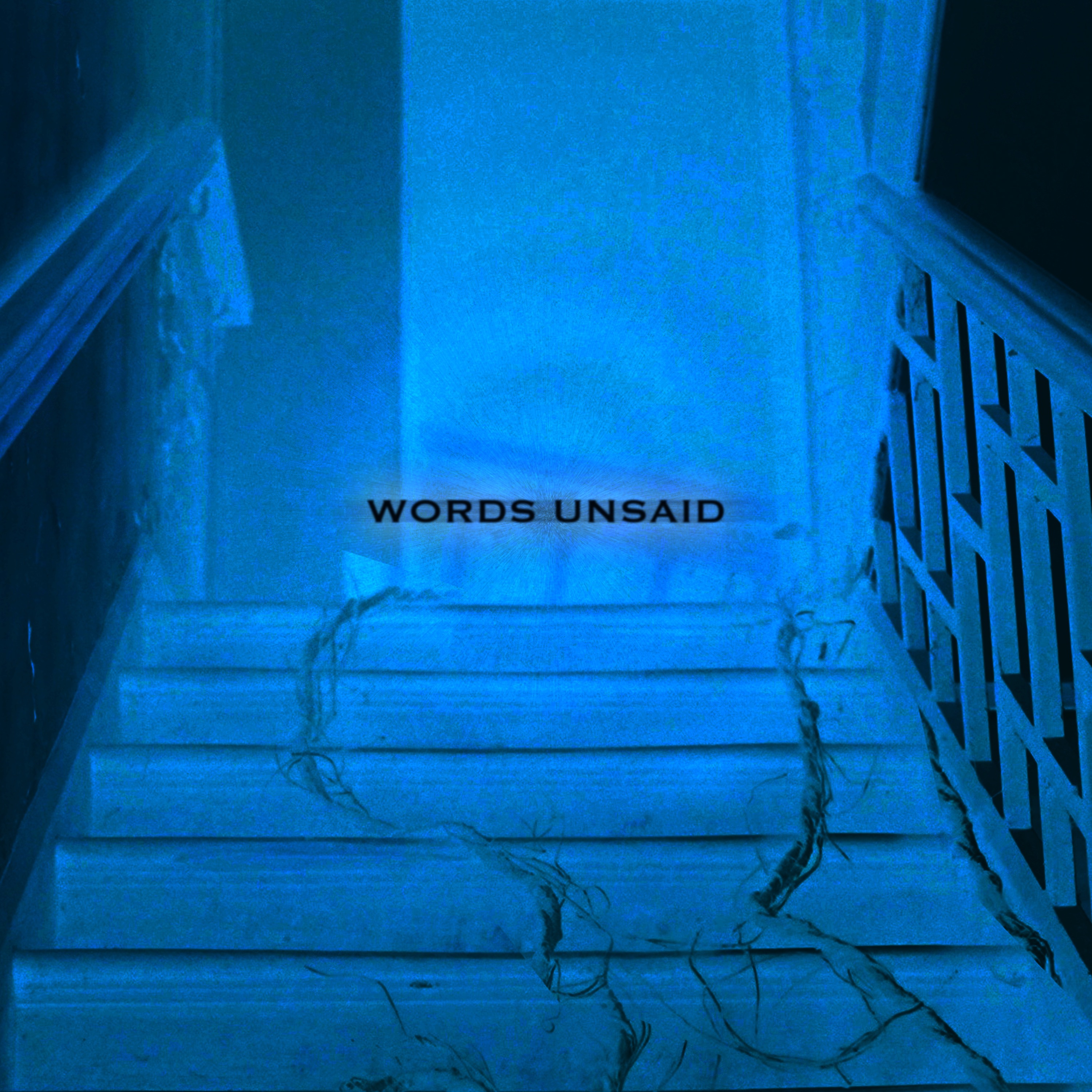 Words Unsaid - Single album cover